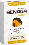 Benaga Chaga Vision