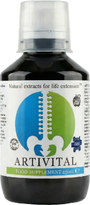Artivital